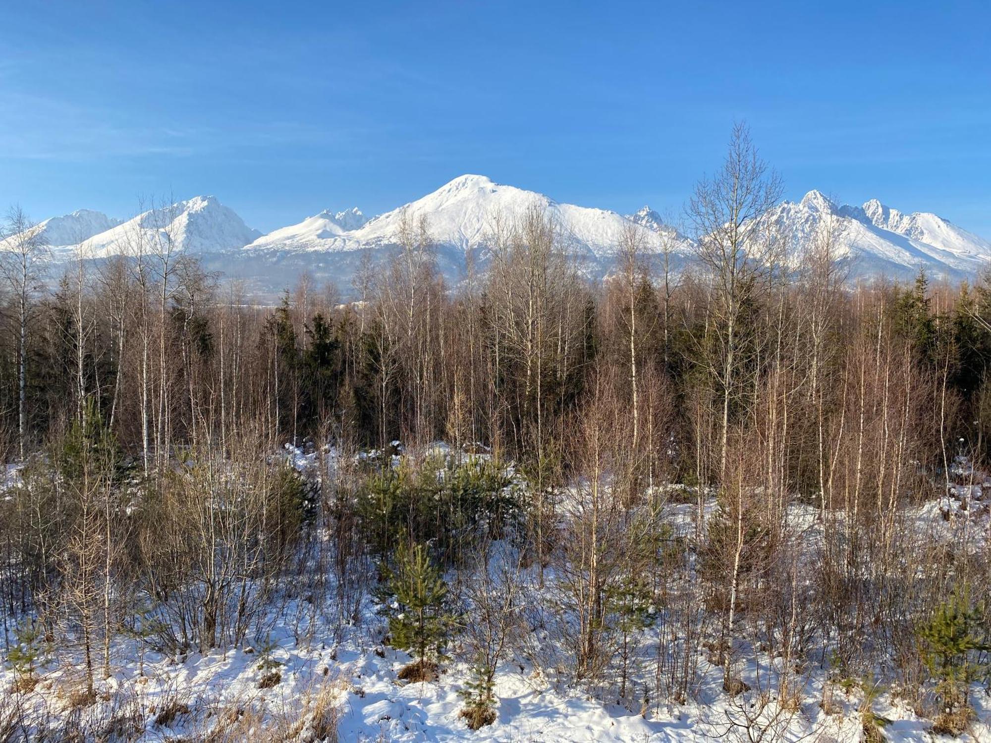 Apartman S Nadhernym Vyhladom Na Tatry Veľky Slavkov Bagian luar foto